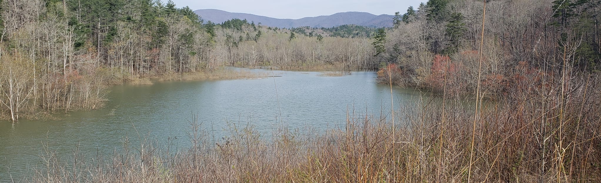Bull Mountain, Jones Creek, Moss Creek, and Jake Mountain Loop,