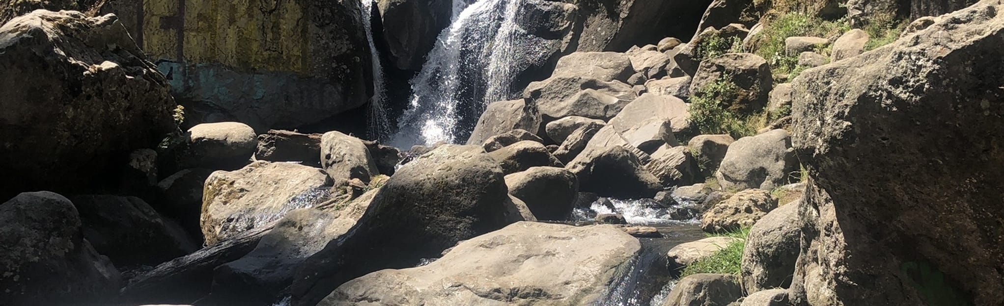 4to Dínamo Camino del Río 8 Reviews, Map Mexico City, Mexico AllTrails