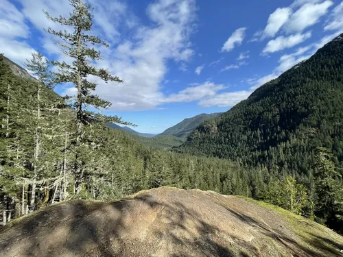 Olympic national shop forest backpacking