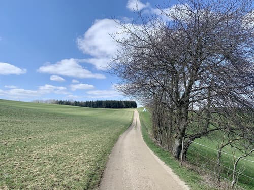 Fernblicke über der Ahr