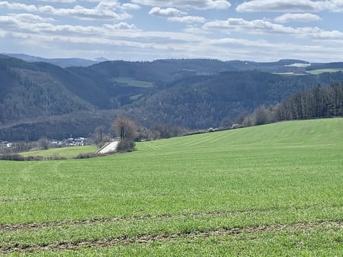 Fernblicke über der Ahr