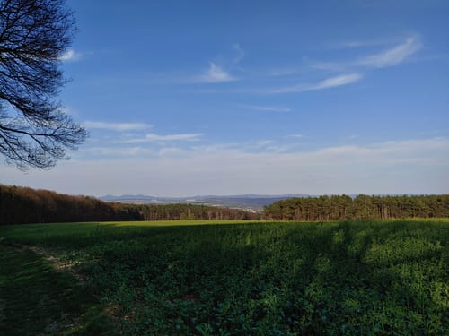 Die große Waldpforzheimer Runde (Bad Neuenahr 2)