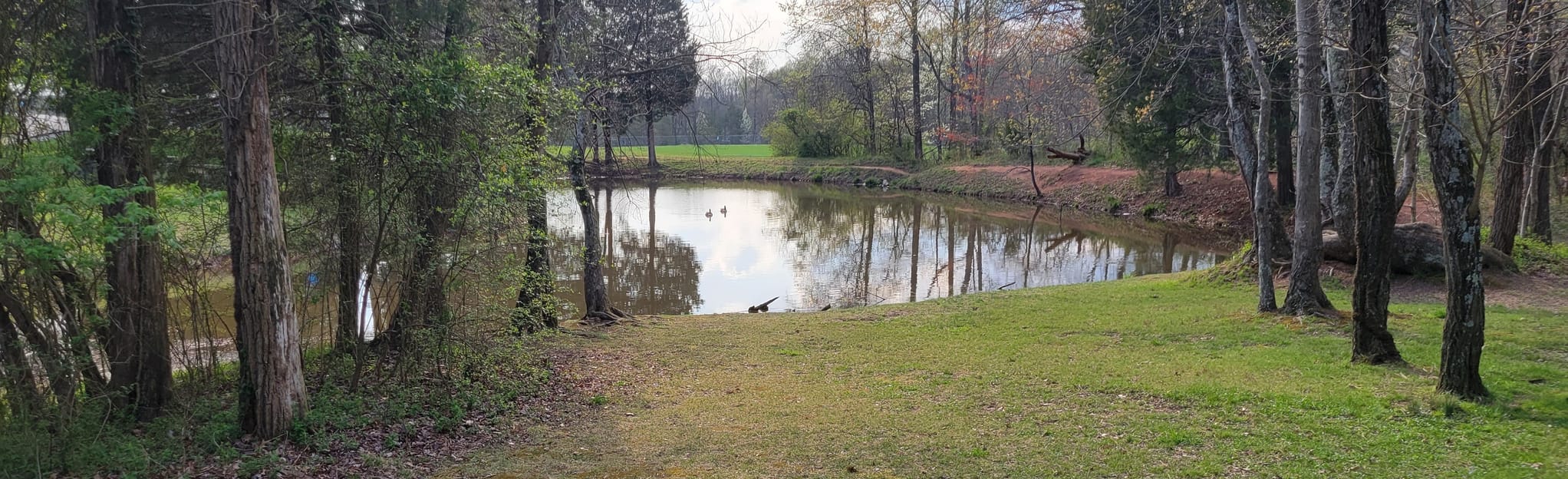 Signal Hill Loop, Virginia 101 Reviews, Map AllTrails