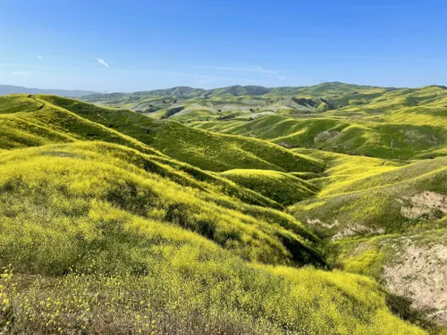 Best Forest Trails in Chino Hills State Park | AllTrails