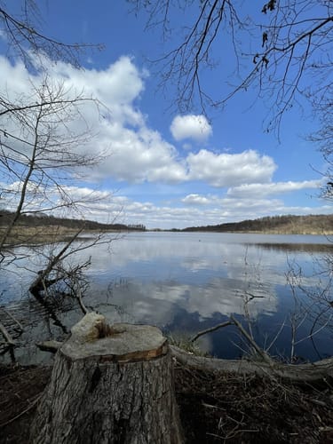 Wanderlehrpfad um den Wernsdorfer See