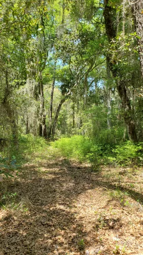 Best Hikes and Trails in Big Talbot Island State Park | AllTrails