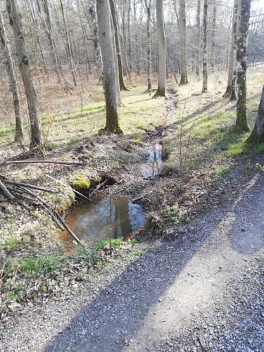 Von Mettenbacher Mühle über den Reutsee und dem Burrainhof