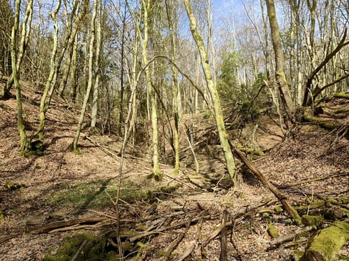 Rund um den Bosenberg ab Sankt Wendel
