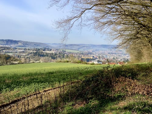 Tiefenbach-Pfad (Premiumwanderweg)