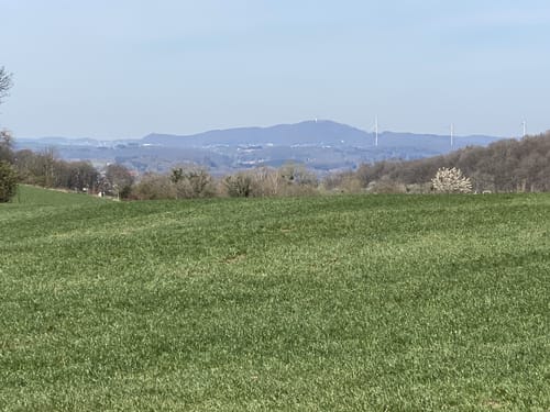 Tiefenbach-Pfad (Premiumwanderweg)