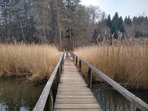 Einbessee und Hartsee Rundwanderung
