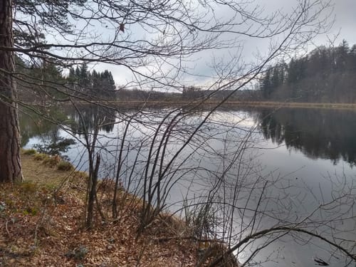 Einbessee und Hartsee Rundwanderung