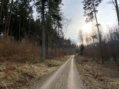 Wanderweg 7: Lohgrundweg