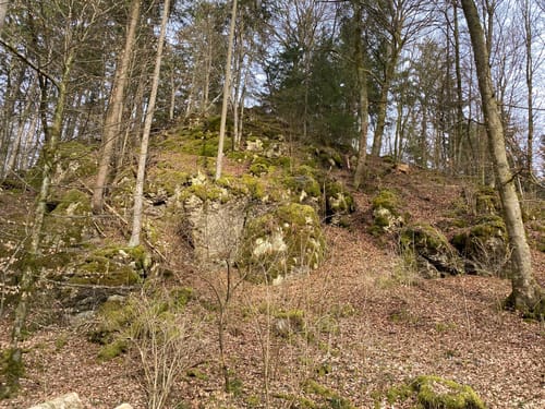 Wanderweg 7: Lohgrundweg
