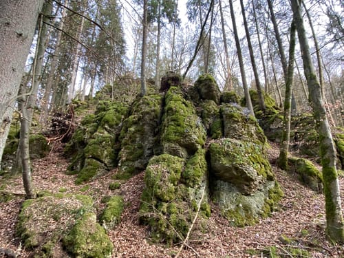 Wanderweg 7: Lohgrundweg
