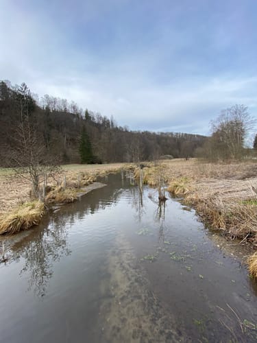 Wanderweg 7: Lohgrundweg