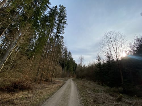 Wanderweg 7: Lohgrundweg