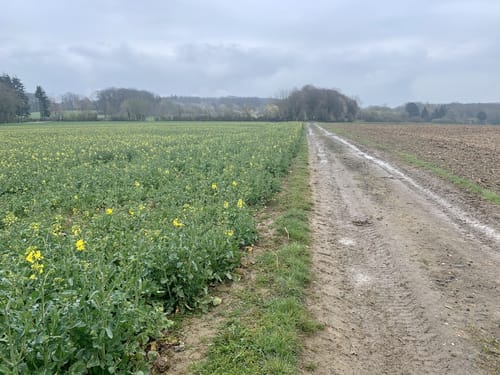 Rundweg Gemeindegrenzgang | Auf Plattborn – Landskroner Hof
