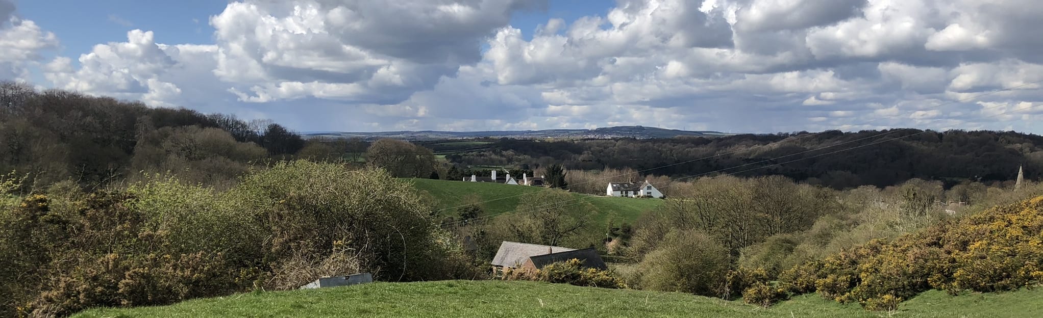 High Shincliffe Circular 41 Fotos County Durham, England AllTrails