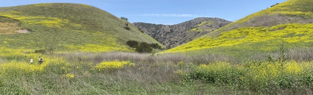 are dogs allowed at chino hills state park