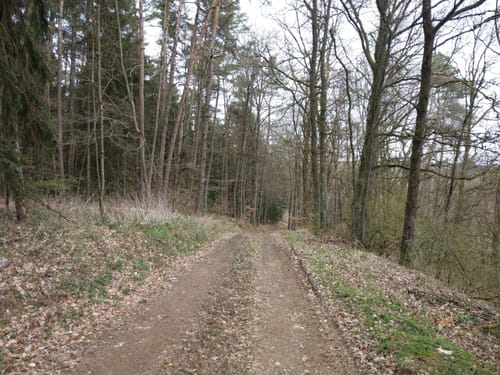 Von Premberg auf den Münchshofener Berg