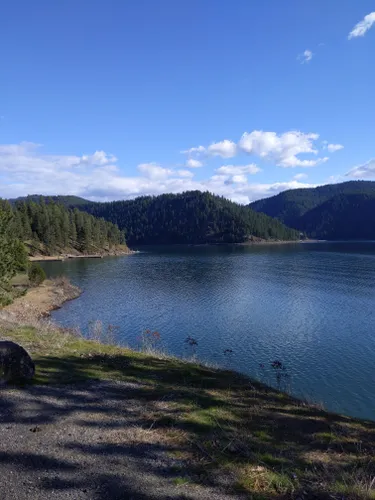 10 Best Trails and Hikes in Coeur d'Alene | AllTrails