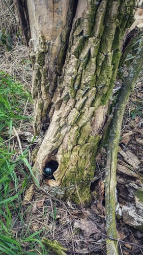 Wanderung zwischen Mühlberg und Fichtenberg