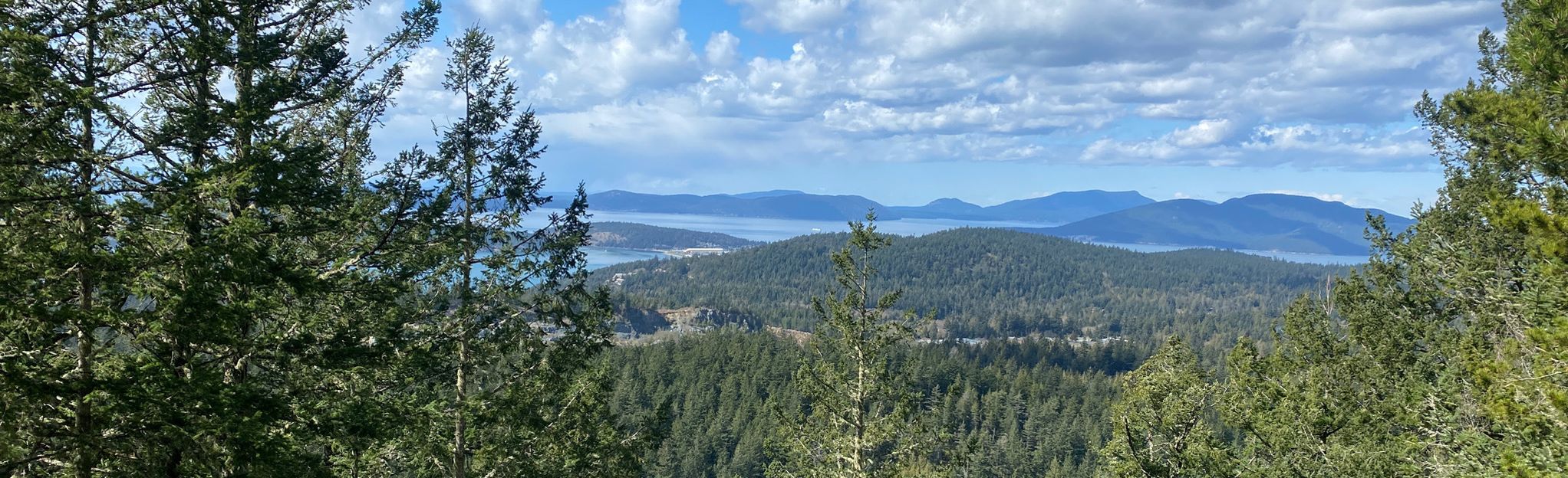 Sugarloaf Mountain Trail, Washington - 805 Reviews, Map | AllTrails