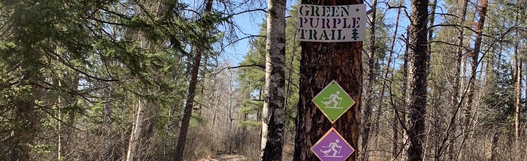 Sandilands Grey Trail, Manitoba, Canada 4 Reviews, Map AllTrails