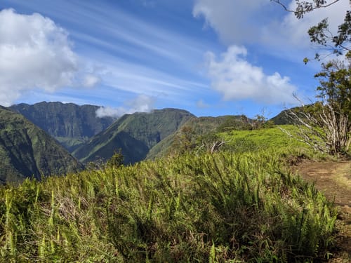 Cudas for deals maui hiking