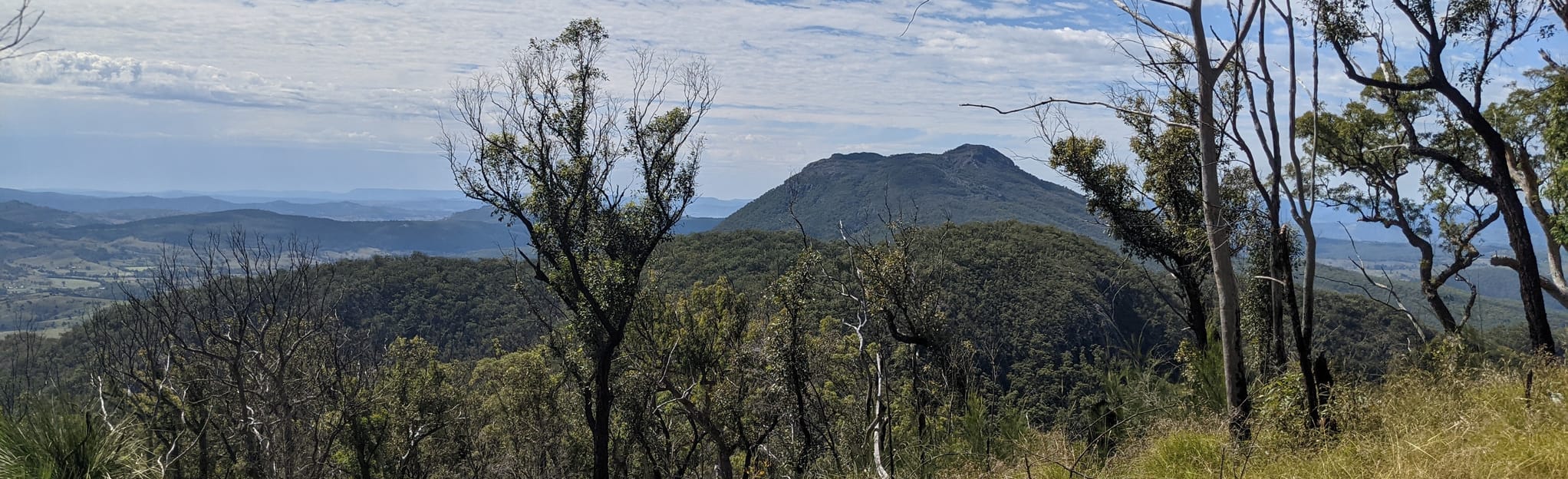 Mount May Track, Queensland, Australia - 62 Reviews, Map | AllTrails