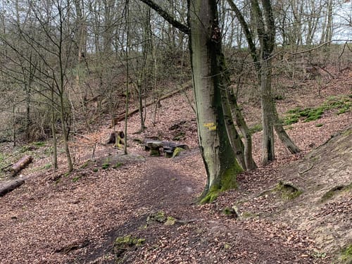 Eco Pfad Kulturgeschichte Guntershausen