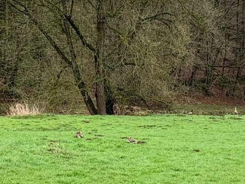 Eco Pfad Kulturgeschichte Guntershausen