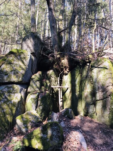Höllohe Runde (Grüne 5a)