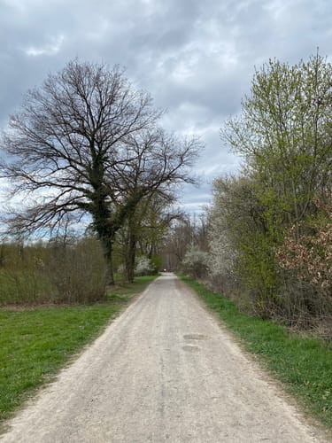 Weilerhau - Bechtenrain
