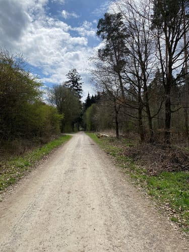 Weilerhau - Bechtenrain