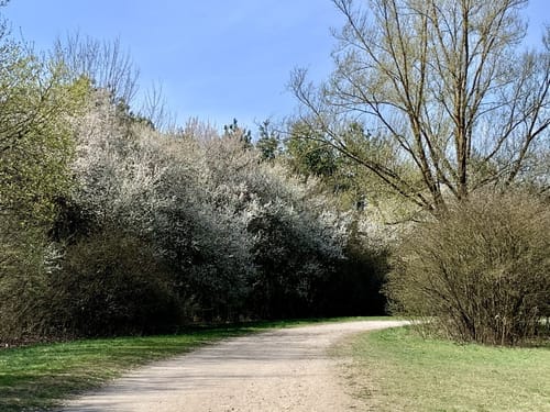 Am Hollerner See