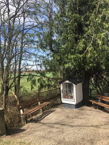 Rund um die Vöhringer Kiesgrube