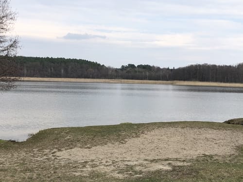 Runde um den Großer Zechliner See