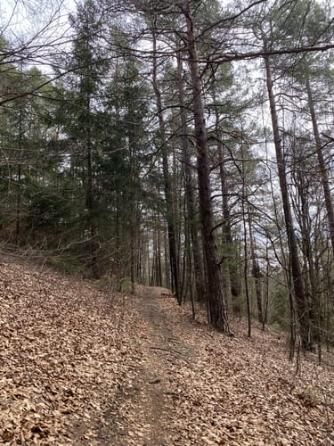 Weigendorf und Burg Lichtegg Wanderung