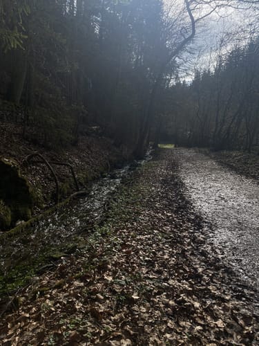 Weigendorf und Burg Lichtegg Wanderung