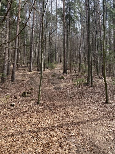 Weigendorf und Burg Lichtegg Wanderung