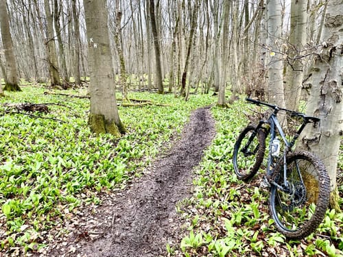 Meinhard - Silberklippe - Pfaffschwender Kuppe