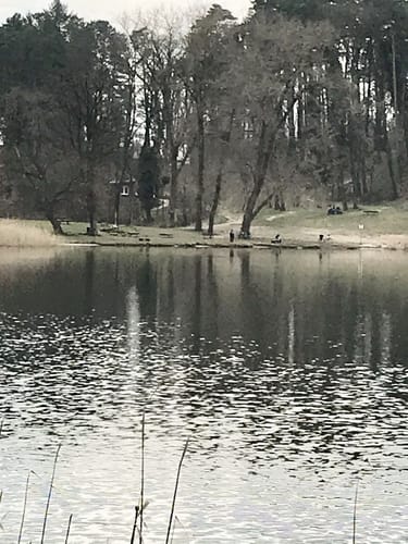 Um den Roofensee