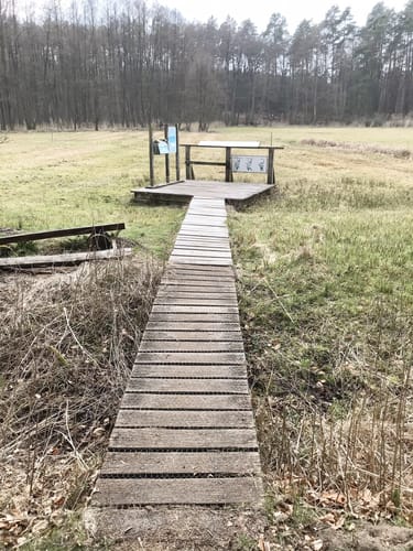 Um den Roofensee