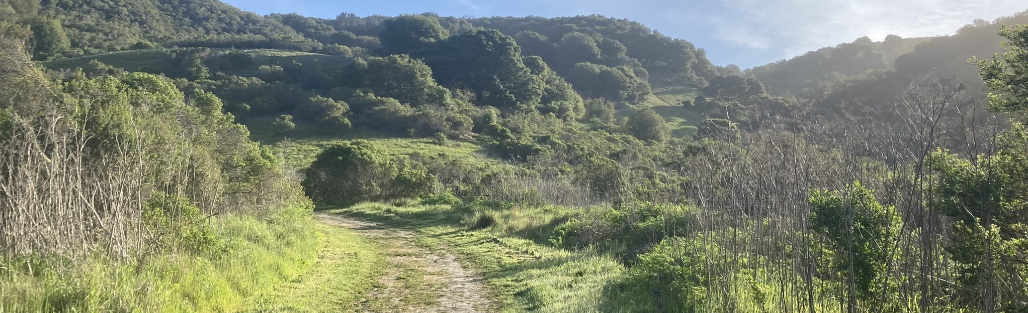 Laurel Loop, Kennedy Creek, and Oak Trail 129 fotos Califórnia