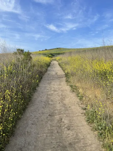 10 Best Trails And Hikes In Irvine | AllTrails