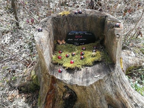 FrankenwaldSteigla Muschelkalkweg