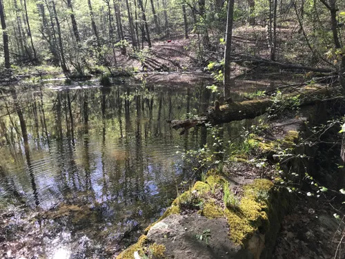 Best Hikes and Trails in Cane Creek Mountains Natural Area | AllTrails