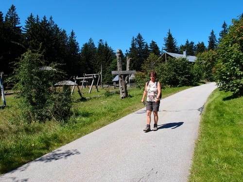 Drachselsried um Plattenriegel